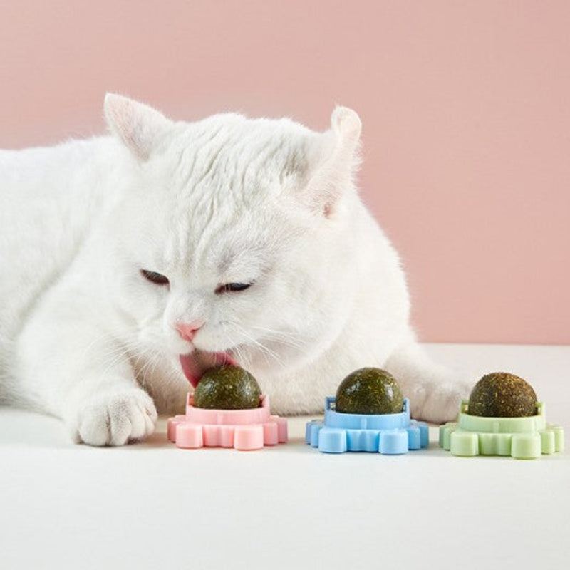 Cat nip Balls (PACK OF 2)